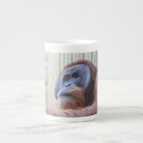 Search for borneo drinkware Primate