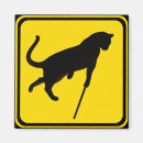 Search for blind magnets Cat