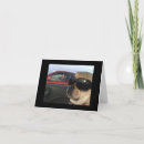 Search for puggles cards Pet