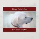 Search for profile horizontal postcards Simple