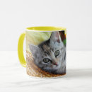 Search for tabby cat mugs Stripes