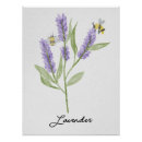 Search for lavender posters Meadow
