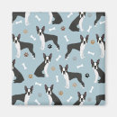 Search for boston magnets Cute