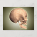 Search for human representation postcards Medicine