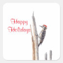 Search for woodpecker stickers Wildlife