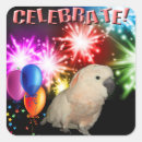Search for cockatoo stickers Parrots