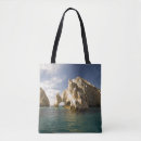 Search for baja bags Mexico