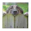 Search for german shepherd coasters Outdoor