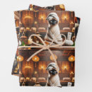 Search for siamese cat wrapping paper Feline