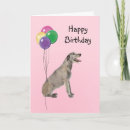 Search for irish birthday cards Pet