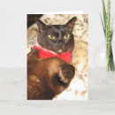 Search for paws christmas cards Xmas