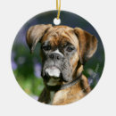 Search for brindle boxer dog christmas tree decorations Canine photographer
