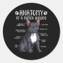 Search for black puppy stickers Yellow lab