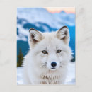 Search for artic postcards Fox