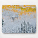 Search for rocky mouse mats Kebler pass