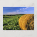 Search for north dakota postcards Scenic