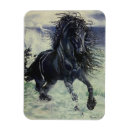 Search for storm magnets Black