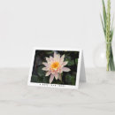 Search for lily note cards Nature