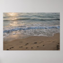 Search for footprints in the sand posters Waves