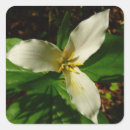 Search for trillium stickers Floral