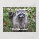 Search for omnivorous postcards Wildlife