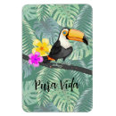 Search for toucans magnets Rainforest