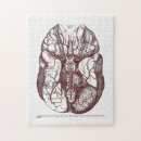 Search for human anatomy puzzles Vintage