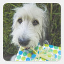 Search for mixed breed stickers Animal
