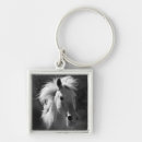 Search for v key rings Photography