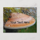 Search for bracket postcards Fungus