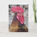 Search for rooster birthday cards Fowl