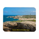 Search for punta magnets Nature
