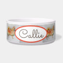 Search for spitz pet supplies Dogs