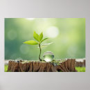 Search for waterdrops posters Nature