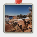 Search for moab utah christmas tree decorations Nature
