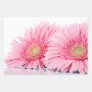 Search for gerbera daisy wrapping paper Daisies
