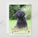 Search for happy pawlidays cards Pets