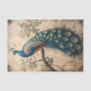 Search for peacock tissue paper Vintage