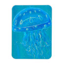 Search for jellyfish magnets White