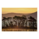 Search for silhouete posters Silhouette