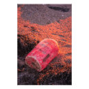 Search for sea shore posters Surf