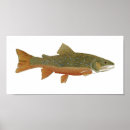 Search for brook trout art Fly