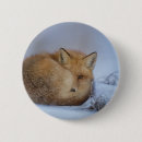 Search for curled badges Cute