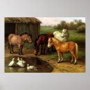 Search for barn animals posters Pig