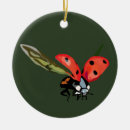Search for flying insects christmas tree decorations Summer