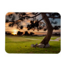 Search for course magnets California