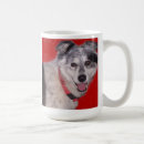 Search for border collie mugs Sheltie