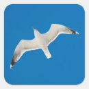 Search for flying seagull stickers Wildlife
