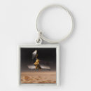 Search for reconnaissance key rings Orbiter