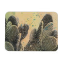Search for splatter magnets Summer